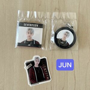 JUN レコードマグネットチャーム ステッカー シール ガシャポン SEVENTEEN SVT ジュン セブチ