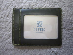 *[CYPRIS*kip squirrel ] pass case ( new goods )*