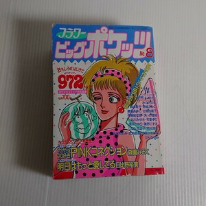 680 フラワー　ビッグポケッツ　昭和60年8月　週刊少女コミック特別編集