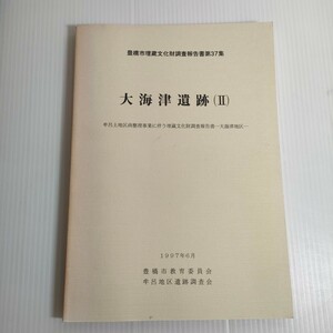 173 豊橋市埋蔵文化財調査報告書第37集 大海津遺跡 Ⅱ 牟呂土地区画整理事業に伴う埋蔵文化財調査報告書 1997 教育委員会 遺跡調査会