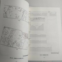 231 各務原市文化財調査報告書 第45号 広畑野口遺跡A地区発掘調査報告書 2007 文化財調査センター_画像8