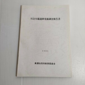 417 川合川端遺跡発掘調査報告書 1991 美濃加茂市教育委員会