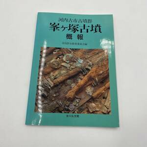 384 河内古市古墳群　峯ヶ塚古墳 概報羽曳野市教育委員会編