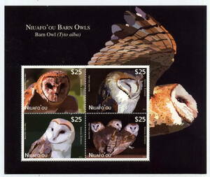 2012 year ton ga.niuafoou island owl aviation stamp seat unused MNH SC#CE1~CE4* large sum surface * free shipping *Z-322