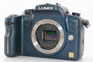 【外観並級以下】Panasonic パナソニック LUMIX DMC-G1 フルー　#s4235