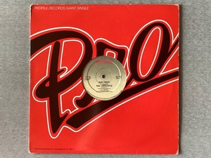 PAUL HARDCASTLE - RAIN FOREST / SOUND CHASER - 1984 USオリジナル12インチ　Garage