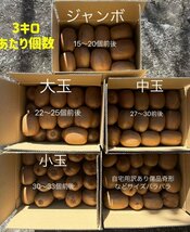 静岡農家直送　 キウイフルーツ　ヘイワード　中玉３キロL～M　27個前後　クリスマス、お正月に　ギフト　フルーツ　濃く甘！_画像3