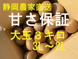 静岡農家直送　 キウイフルーツ　ヘイワード　大玉３キロ3L～２L　25個前後　クリスマス、お正月に　ギフト　フルーツ　濃く甘！