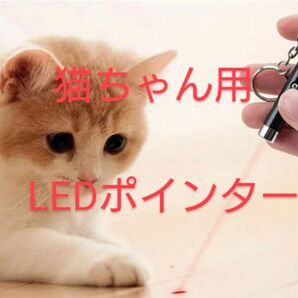 猫ちゃん用ポインタ