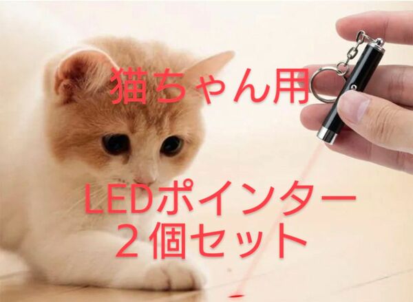 猫ちゃん用ポインタ　２個セット