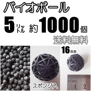 【送料無料】バイオボール Φ16mm　5リットル分（約1000個）　　新品　即決　ろ材　生物濾過材　熱帯魚やメダカ水槽のろ過用に