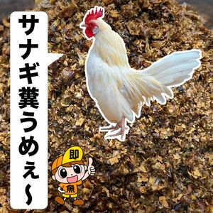 乾燥サナギ（フレークタイプ）800g入り 小さな鶏でも食べれるフレーク状 鶏の栄養補給に おやつに