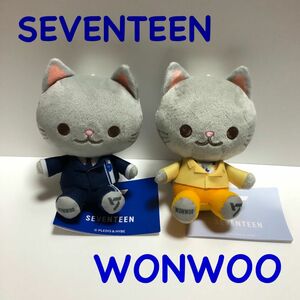 SEVENTEEN【WONWOO】ウォヌ　猫　ぬいぐるみ　２点セット