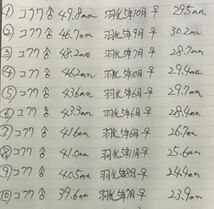 国産コクワガタ成虫10ペア(♂10匹＋♀10匹) _画像5