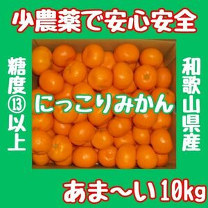 最終案内　百貨店では買えない 甘すぎる B級 ほとんど無農薬 みかん10kg 和歌山県産