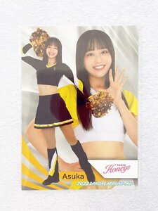 ☆ BBM プロ野球チアリーダーカード 2022 DANCING HEROINE 舞 舞59 福岡ソフトバンクホークス Honeys Asuka ☆