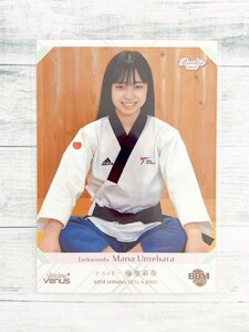 ☆ BBM2020 女子アスリートカード シャイニングヴィーナス レギュラーカード 61 梅原麻奈 テコンドー ☆