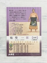 ☆ BBM2021 大相撲カード レギュラーカード 33 魁聖一郎 ☆_画像2