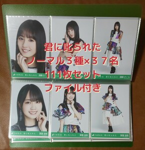  Nogizaka 46...... life photograph . tree kore normal 37 name ×3 kind 111 pieces set file attaching 
