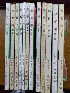 玉川大学通信講座　数学教員免許取得用　数学テキスト２２冊（解析学・代数学・幾何学・確率論・統計学・測量・教育法　等）