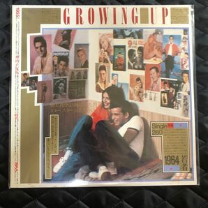 レコード LP GROWING UP サウンドトラック oldies