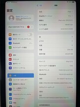 未使用★iPad mini 6 Wi-Fi＋Cellular 256GB SIMフリー 2021年モデル スペースグレイ/ガラスフィルム/サードパーティ製Pencil/汎用カバー付_画像5