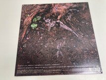 【★99-03-5843】■中古品■ua ウーア 悲しみジョニー あめふりヒヤデス レコード LP アナログ_画像3