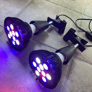 アクアリウム用LED 20W 6500K相当 ニッソークリップスタンド 2セット nisso