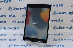 関西発送 SIMフリー Apple iPad mini 4 64GB MK722J/A 格安スタート！□ Apple社のタブレットシリーズ！ J482153 Y