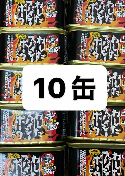 わしたポークスパイシー　わしたスパイシーポーク　10缶