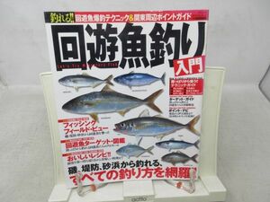 F3■釣れる！回遊魚釣り入門 タツミムック 平成16年◆並■送料150円可