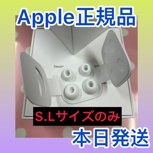 AirPods Apple イヤーピース　イヤーチップ　国内正規品