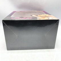 【中古】アルファマックス　セイバー 1/8 Fate/EXTRA CCC　未開封品、箱傷み汚れ有[240070116849]_画像8