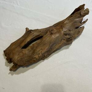 Art hand Auction natural wood dry material interior reptile, handmade works, interior, miscellaneous goods, ornament, object