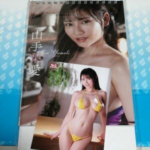 山手梨愛2023年卓上カレンダー生写真付