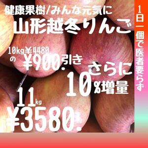 10%増量山形りんごサンふじ10kg+1kg=11kg¥3580.東北から中国地方まで送料無料他地域への取り扱い不可