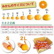 全国送料無料　減農薬有田みかん　訳あり　10kg_画像5