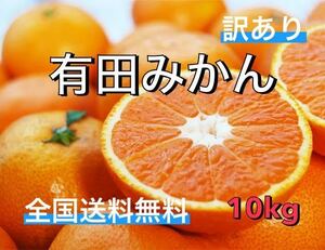 全国送料無料　減農薬有田みかん　訳あり　10kg