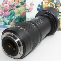 手振れ補正内蔵シグマ 18-250mm DC OS HSM キャノン用_画像2