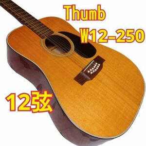 《超希少12弦》 thumb AG-013 W12-250 アコースティックギター 寺田楽器