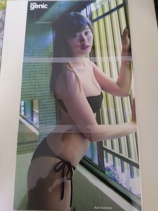 L817《ポスター》【稲村亜美・Rion】（ラミネート加工・A4サイズ×3枚）/ENTAME genic 付録 ☆送料一律☆