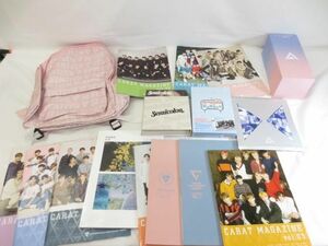 【同梱可】中古品 韓流 SEVENTEEN ある素敵な日 DVD ペンライト Semicolon CD 等 グッズセット