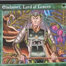 MTG　Eladamri, Lord of Leaves　1枚　TMP　英語　葉の王エラダムリー　テンペスト_画像4