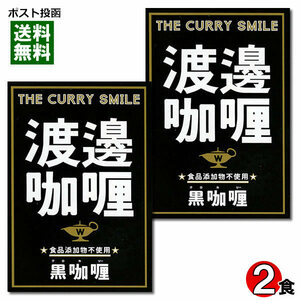 ご当地カレー 渡邉カリー 黒カリー 160g×2食お試しセット 食品添加物不使用