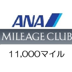 全日空ANA11,000マイル 希望の口座へ加算の画像1