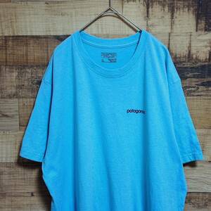 patagonia パタゴニア　半袖Tシャツ　ロゴプリント　バックプリント　水色　サイズXL
