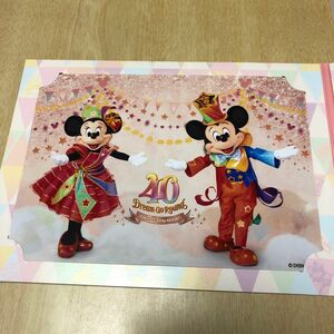 ディズニーシー　ホテルミラコスタ　フォトファン 台紙　 40周年 ディズニーホテル ミッキー　ミニー