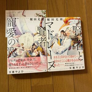 賢者と寵愛の翼　賢者とマドレーヌ 榎田尤利