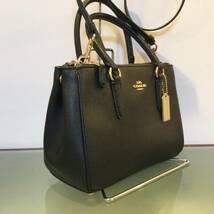 coach ミニサリー キャリーオール　2Way. クロスボディ バッグ　レザー　F44962_画像4