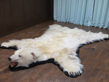 美品 希少品 白熊 北極熊 ホッキョクグマ 剥製 敷物 毛皮 カーペット センターラグ 絨毯 壁掛 全長230cm 幅190cm 美術品_画像1